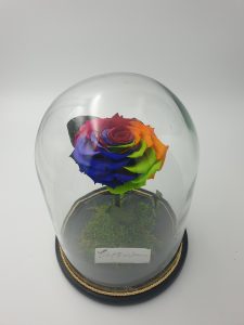 Forever Roses – Παντοτινό Τριαντάφυλλο μεγάλο Πολύχρωμο