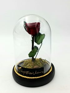Forever Roses – Παντοτινό Τριαντάφυλλο μικρό κόκκινο