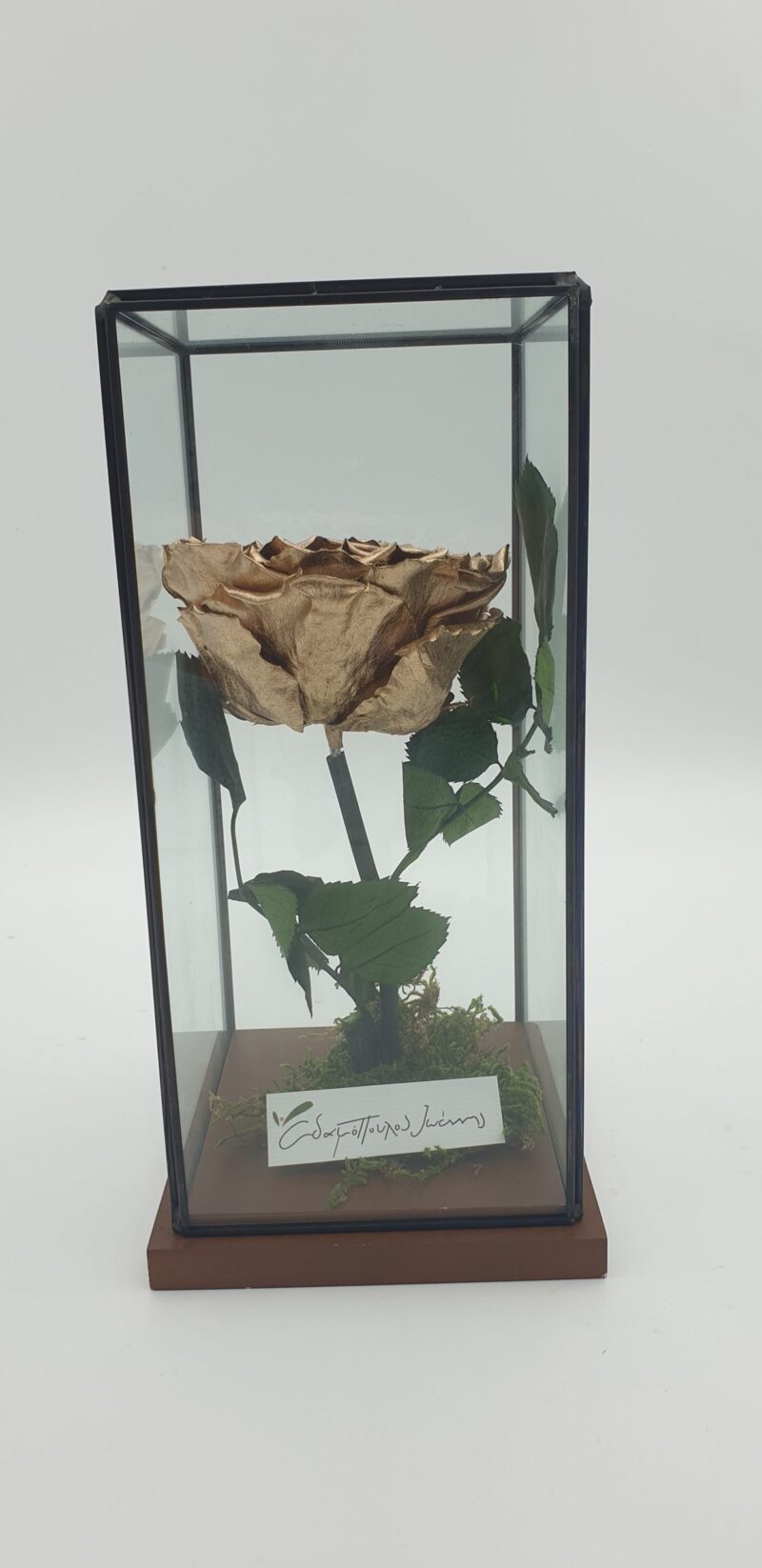 2020102