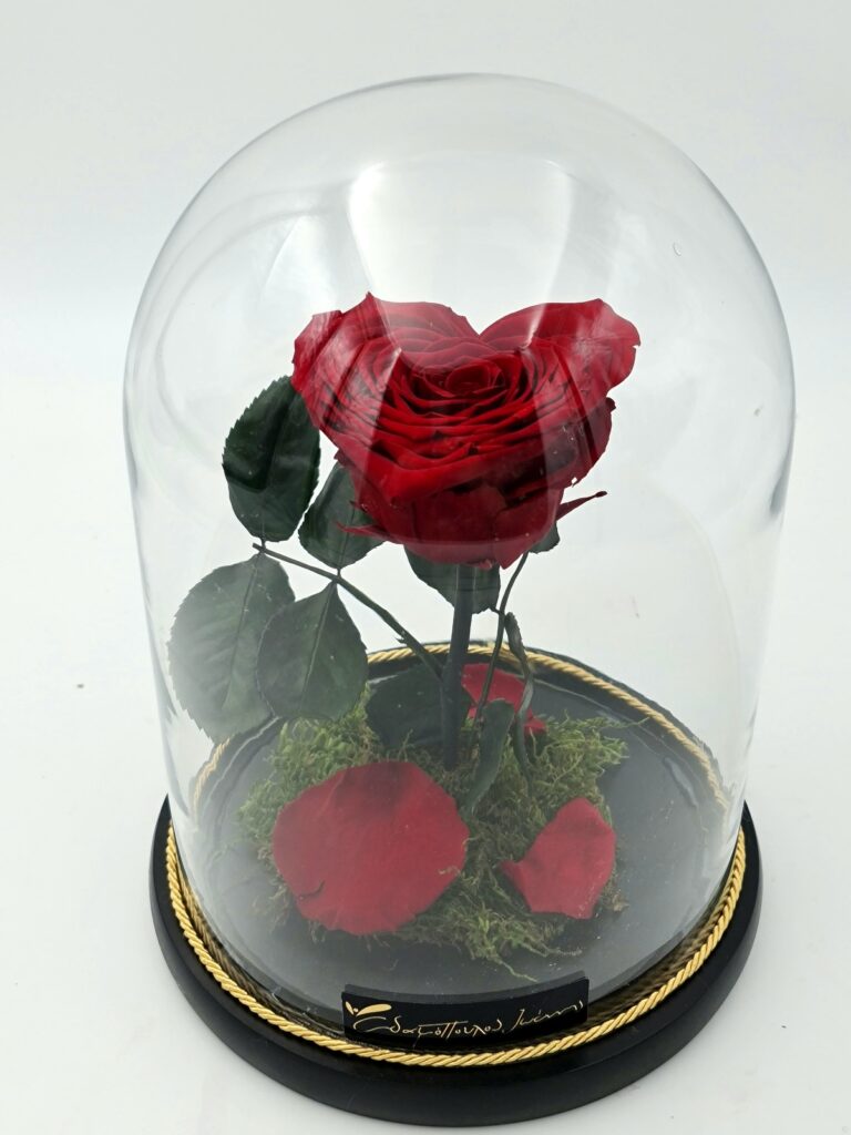 flower-img