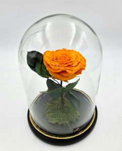 Foreve Rose σε χρώμα Κίτρινο – Πορτοκαλί, μέγεθος XXL σε γυάλα (20εκ Χ 26εκ).